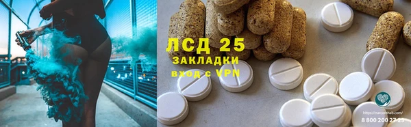 соль ск Новозыбков