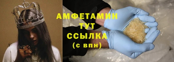 соль ск Новозыбков