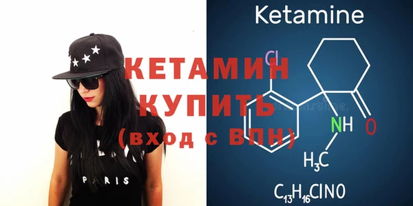 соль ск Новозыбков