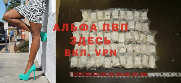 соль ск Новозыбков