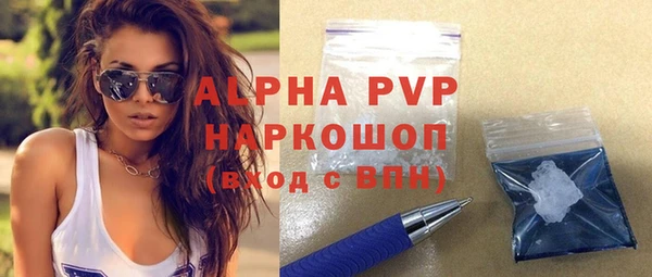 соль ск Новозыбков