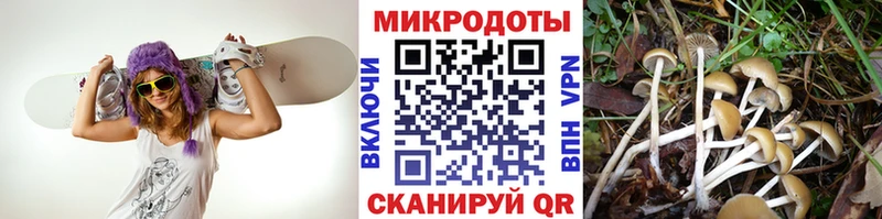 Галлюциногенные грибы MAGIC MUSHROOMS  Пудож 